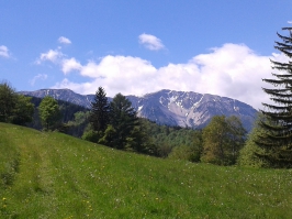 Umgebung Almboden, Puchberg am Schneeberg, Urlaub Niederösterreich